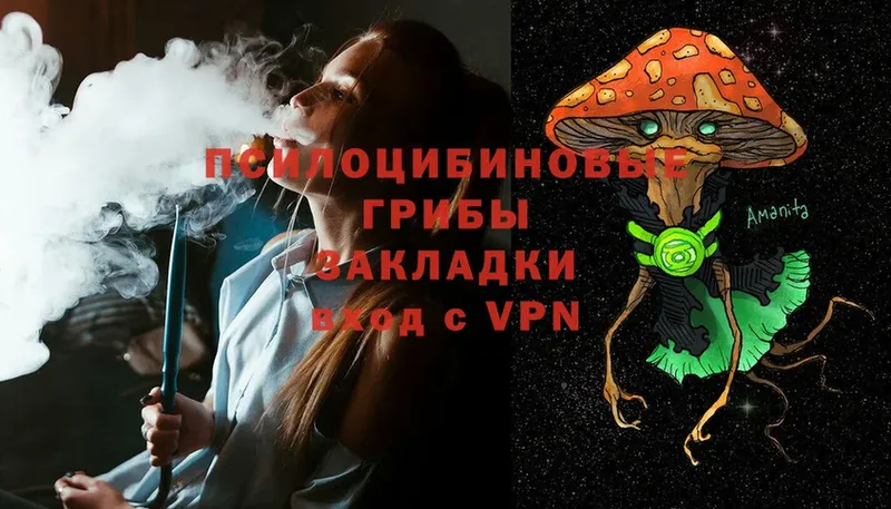 Галлюциногенные грибы Psilocybine cubensis  купить закладку  Светлоград 